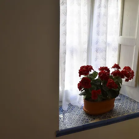 Casa Alma *